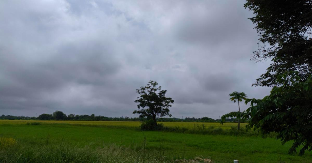 यूपी, एमपी और राजस्थान में बारिश का अलर्ट यूपी, एमपी और राजस्थान में बारिश का अलर्ट